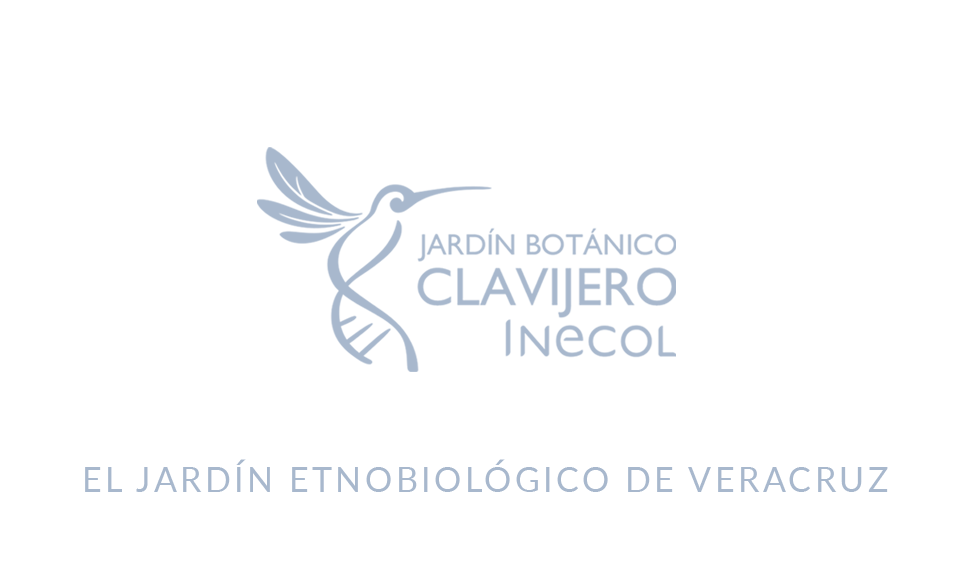 Jardín Botánico Clavijero